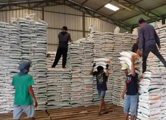 Sejumlah pekerja saat bongkar muat beras di Gudang Bulog Sub Divre Lebak-Pandeglang, tepatnya di wilayah Kecamatan Warung Gunung, Kabupaten Lebak. (Sumber: Dok. Bulog Sub Divre Lebak-Pandeglang)