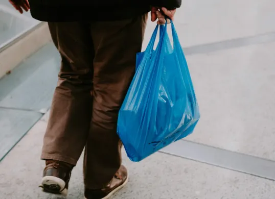 Hari Bebas Kantong Plastik Internasional Diperingati Tiap 3 Juli, Berikut Sejarah dan Dampaknya ke Lingkungan (Sumber: Unsplash/Mathias Reding)