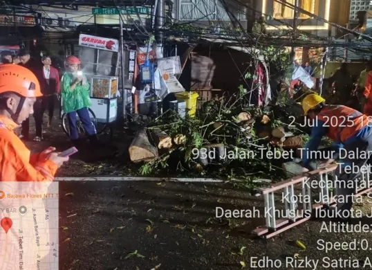Pohon tumbang menimpa kios makanan di kawasan Tebet, Jakarta Selatan, Rabu, 2 Juli 2025. (Sumber: BPBD Jakarta Selatan)