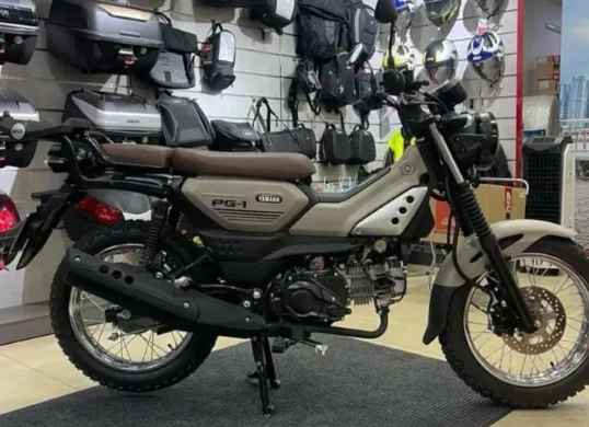 Yamaha PG-155 (Sumber: Pinterest)