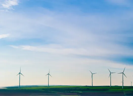 Hari Kemerdekaan Energi Global Diperingati Tiap Tanggal 10 Juli, Berikut Sejarah dan Cara Merayakannya (Sumber: Unsplash/Karsten Würth)