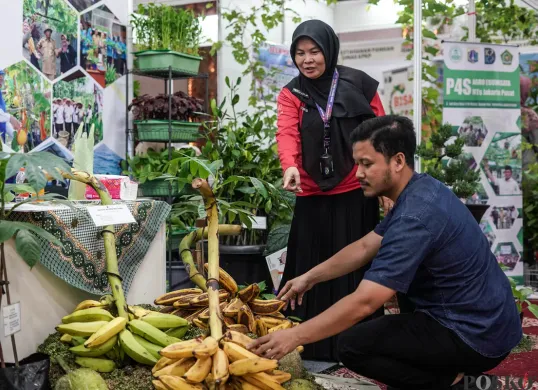 Mengenal Pertanian Perkotaan di Festival Urban Farming