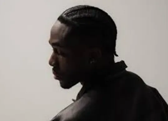 Lirik Lagu Melly Mike - Young Black And Rich