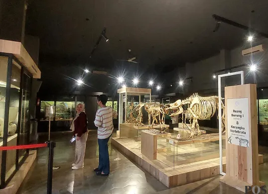 Suasana di Museum Zoologi Kebun Raya Bogor yang kini tampil dengan wajah baru. (Sumber: POSKOTA | Foto: Sekar Putri Andini)