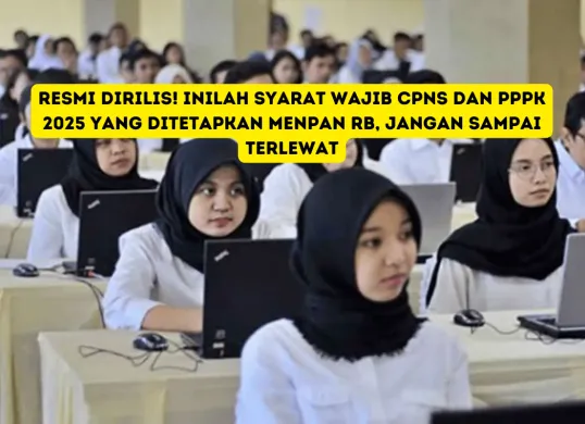 Menpan RB Ungkap Kebijakan Terbaru: Inilah Perubahan Penting untuk Pelamar CPNS dan PPPK (Sumber: Pinterest)