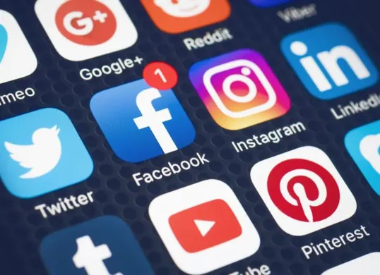 DPR RI usulkan pelarangan seccond account (Sumber: Pinterest)