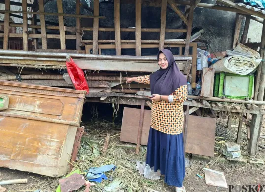 Dwi Susilowati menunjukan kandang tempat kambing-kambingnya berada di RT 04 RW 01, Kelurahan Pengasinan, Kecamatan Sawangan, Kota Depok, Kamis, 17 Juli 2025. (Sumber: Poskota/Angga Pahlevi)