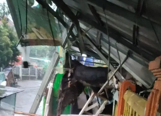 Kios UMKM di Jalan Pondok Rumput RT 002/RW 005, Kelurahan Kebon Pedes, Kecamatan Tanah Sareal, Kota Bogor, tertimpa pohon, Jumat, 18 Juli 2025. (Sumber: Dok. BPBD Kota Bogor)