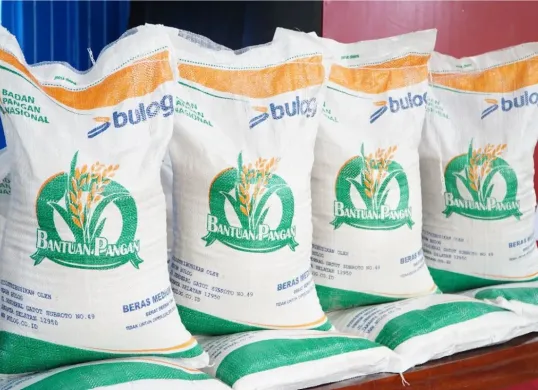 Bantuan pangan beras 20 kg. (Sumber: badanpangan.go.id)