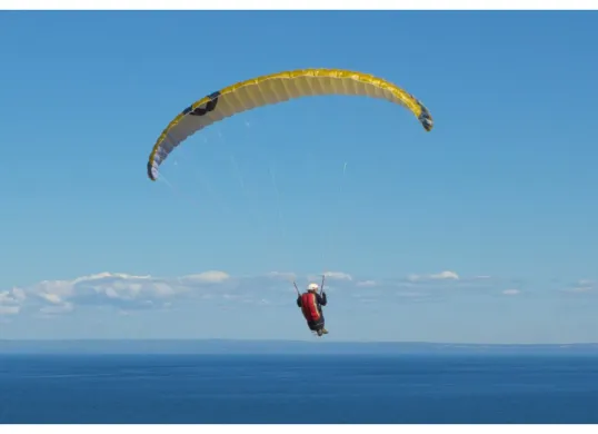 Ilustrasi wisatawan Korea Selatan yang tewas saat Paragliding di kawasan Kutuh, Kuta Selatan, Badung, Bali. (Sumber: Freepik/wirestock)