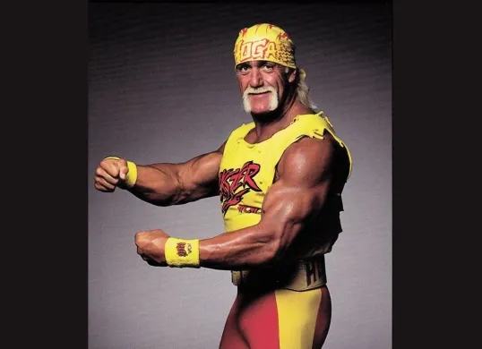 Legenda WWE Hulk Hogan meninggal dunia (Sumber: Pinterest)