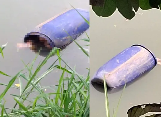 Sesosok mayat perempuan ditemukan membusuk di dalam tong di sungai Cisadane di Kampung/Kelurahan Babakan, Kota Tangerang, pada Minggu, 27 Juli 2025. (Sumber: Dok Polsek Tangerang)
