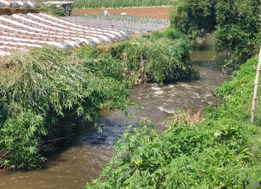 Kondisi air sungai di aliran sungai Lembang yang mengalir ke wilayah Kota Bandung. (Sumber: Poskota/Gatot Poedji Utomo)