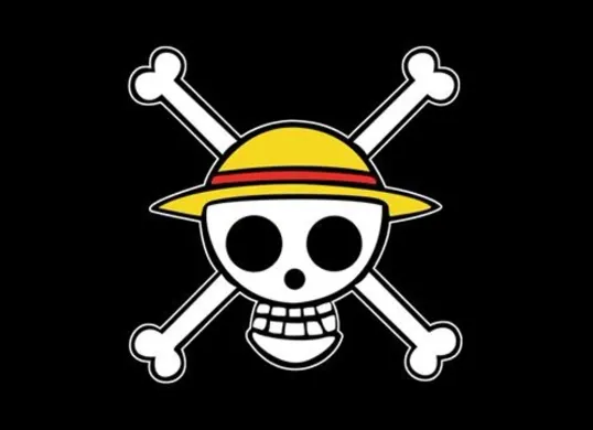 Bendera One Piece jadi simbol kritik terhadap pemerintah jelang HUT RI ke-80? (Sumber: Pinteres)