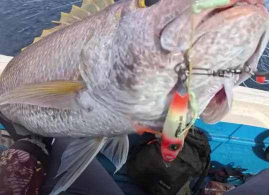 Joran anti patah melengkung tajam saat menghadapi tarikan ikan GT di laut dalam. (Sumber: Youtube/@Gemoy Mancing)