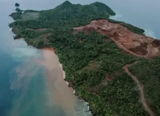 Raja Ampat Tercemar? Air Laut di Pulau Gag Diduga Berubah Warna, Warga Ungkap Fakta Mencengangkan. (Sumber: Tiktok/@itstimehan)