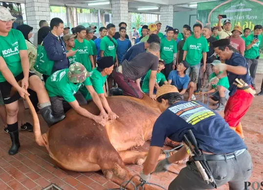 Prosesi penyembelihan Sapi Presiden Prabowo Subianto di Masjid Istiqlal, Jakarta Pusat, Sabtu 7 Juni 2025. (Sumber: Poskota/M. Tegar Jihad)