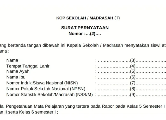 Ilustrasi lembar biodata dalam pendaftaran PPDB 2025. (Sumber: Istimewa)