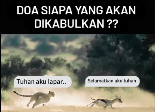 Seekor cheetah dan gazelle di padang savana, dua makhluk berbeda dengan doa yang sama tulusnya (Sumber: Instagram/@hypn0holic)