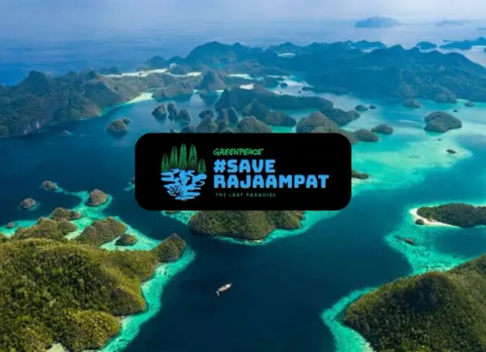 Dampak tambang nikel di Raja Ampat, kerusakan lingkungan, aksi aktivis, hingga pencabutan izin. PT Gag Nikel masih beroperasi. Info selengkapnya di sini. (Sumber: Instagram/@greenpeaceid)