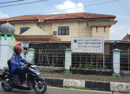 Kantor Dinas Pertanian dan Ketahanan Pangan (DPKP) Kabupaten Pandeglang. (Sumber: Poskota/Samsul Fatoni)