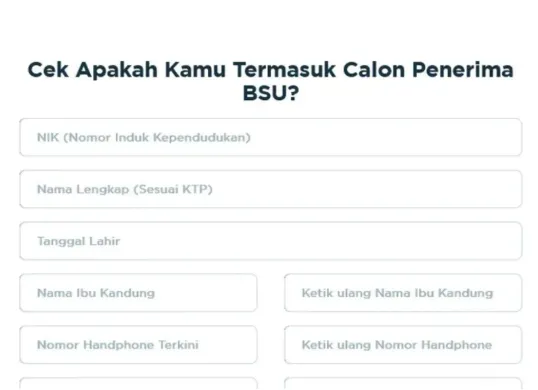 Bantuan Subsidi Upah (BSU) 2025. (Sumber: bsu.bpjsketenagakerjaan.go.id)