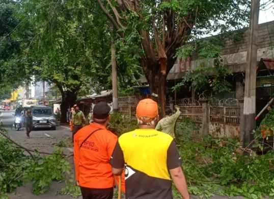 Petugas evakuasi pohon tumbang di kawasan Kembangan, Jakbar, Senin, 23 Juni 2025. (Sumber: BPBD Jakarta)
