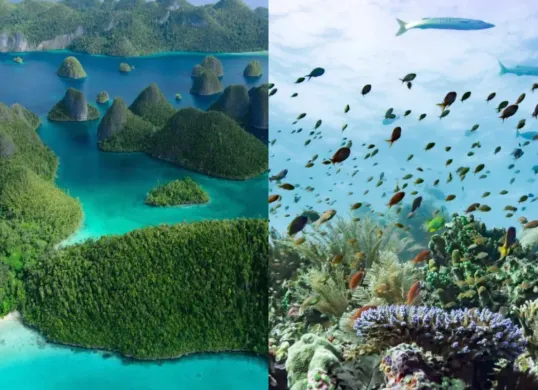 Ilustrasi ancaman serius akibat tambang di pulau-pulau kecil. (Sumber: UGM)
