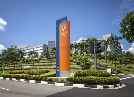15 Universitas Asia dengan kinerja riset terbaik (Sumber: Pinterest/Square Peq Design)