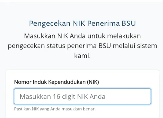 Tampilan halaman pengecekan status penerina BSU 2025 di situs resmi BSU Kemnaker. (Sumber: BSU Kemnaker)