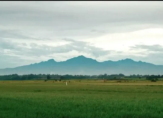 SeorangPendaki terjatuh di jurang Gunung Muria (Sumber: Pinterest)