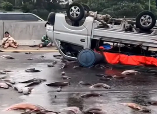 Tangkap layar mobil pikap bermuatan ikan lele yang mengalami kecelakaan hingga terbalik di jalan Tol Cikampek KM 54 pada Sabtu, 28 Juni 2025. (Sumber: Instagram @informasi_Karawang)