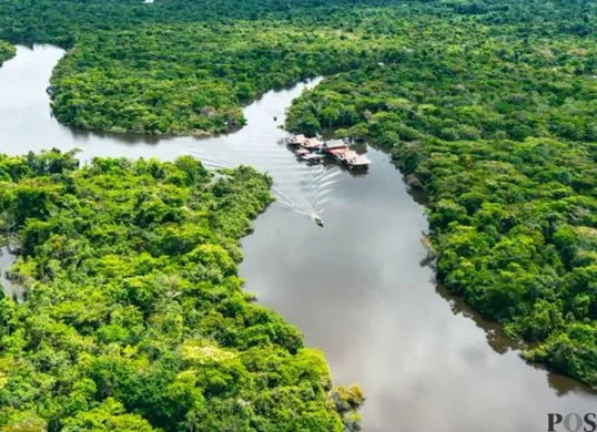 Potret Hutan Amazon yang dibanjir rating 1 oleh warganet Indonesia. (Sumber: Google Maps)