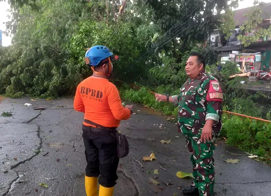 BPBD Kota Bekasi bersama membereskan empat pohon tumbang di Kecamatan Rawalumbu, Kabupaten Bekasi pada Minggu, 29 Juni 2025. (Sumber: Humas BPBD kota Bekasi)