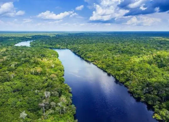 Hutan Amazon dapat rating buruk dari netizen Indonesia imbas gunung Rinjani yang diberi bintang satu oleh netizen Brasil. (Sumber: Google Maps/Joy Prakash Das)