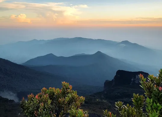Ilustrasi, Taman Nasional Gunung Gede Pangrango yang berada di wilayah Kabupaten Bogor dan Cianjur. (Sumber: Unsplash | Foto: Alvian Hasby)