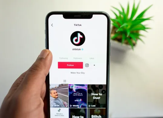 Cara mengganti nama pengguna TikTok orang lain. (Sumber: Pixabay/solenfeyissa)