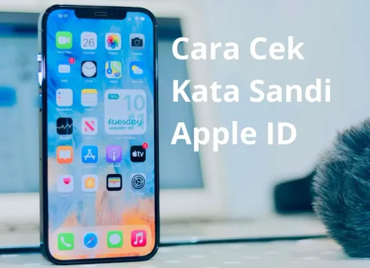 Cara cek kata sandi Apple ID di iPhone anda. (Canva)