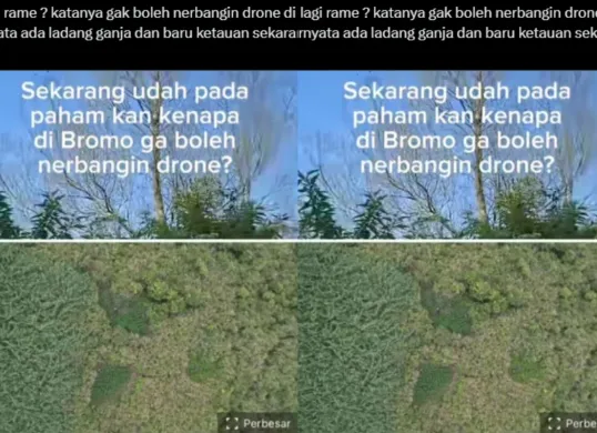 Keberadaan ladang ganja di Bromo menyedot perhatian netizen. (Sumber: X/@tanyakanrl)