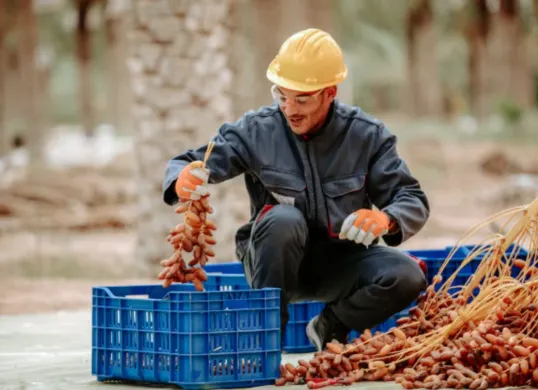 Kurma merupakan salah satu buah yang sangat dianjurkan untuk berbuka puasa. (Sumber: Pexels/Radwan Menzer)