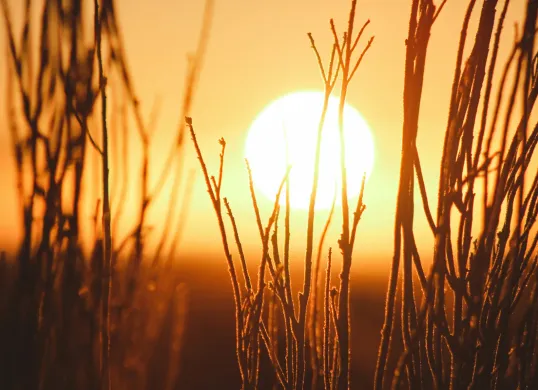 Hari Surya Sedunia Diperingati 3 Mei, Ini Sejarah dan Cara Merayakannya (Sumber: Unsplash/Jeremy Bishop)