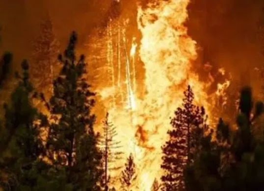 Kronologi dan dampak kebakaran hutan besar yang terjadi di sekitar jalan utama Yerusalem-Tel Aviv, Israel, pada akhir April 2025. (Sumber: Pinterest)