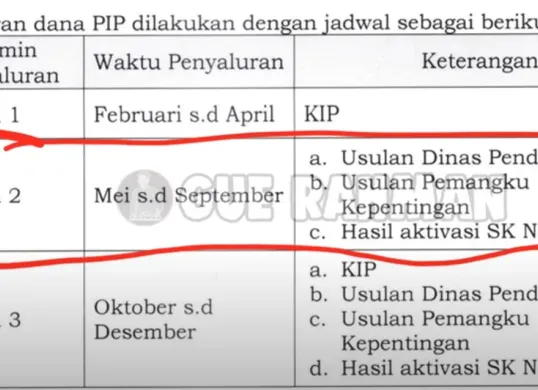 Tampilan laman resmi pip.kemdikbud.go.id untuk pengecekan status penerima bantuan Program Indonesia Pintar (PIP) tahun 2025. (Sumber: Youtube/Gue Rahman)