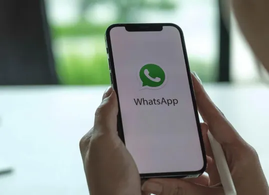 Cara cek riwayat aktivitas akun WhatsApp. (Sumber: Pinterest)