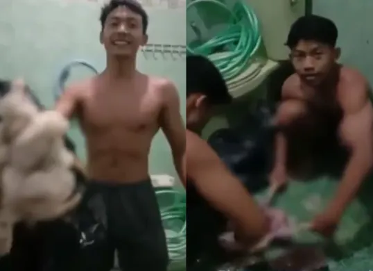 Sejumlah atlet binaraga di Malang mengonsumsi ayam tiren untuk memenuhi kebutuhan proteinnya. (Sumber: Tangkap Layar X/@Heraloebs)