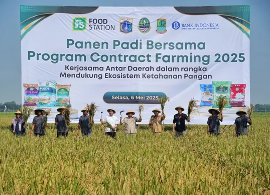 Pemprov Jakarta bekerjasama dengan Pemkab Karawang memperkuat pasokan beras melalui program Contract Farming. (Sumber: Kominfotik)
