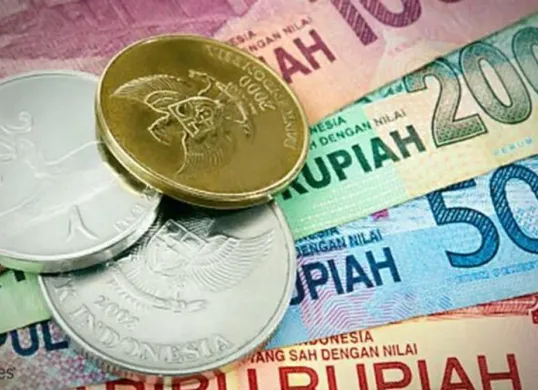 NIK KTP Anda terdaftar sebagai penerima saldo dana bansos BPNT (Sumber: Pinterest)