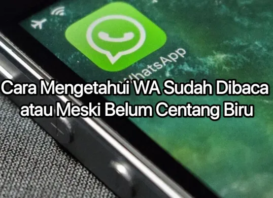 Cara mengetahui chat WhatsApp sudah dibaca atau belum. (Canva)