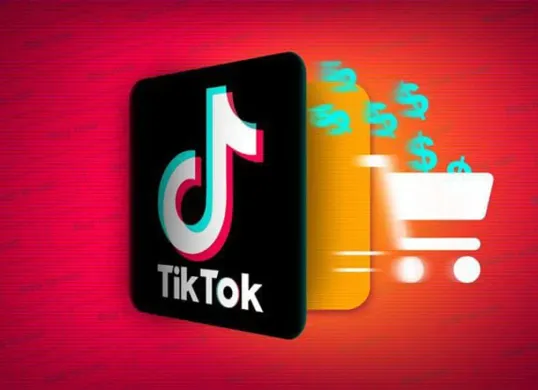 Ilustrasi - Apa saja risiko galbay TikTok Paylater dan bagaimana cara menghadapinya? Simak tips selengkapnya di sini. (Sumber: Pinterest)