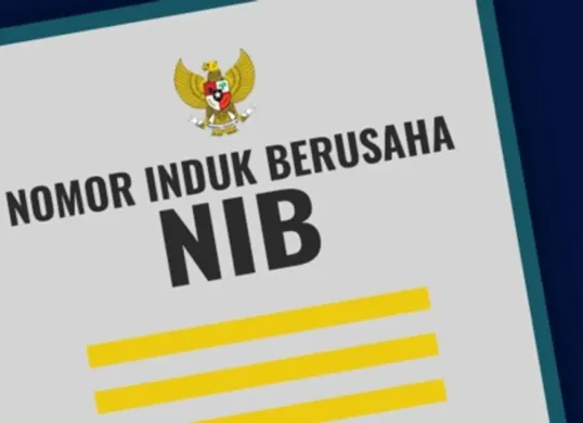 Cara daftar UMKM untuk dapat Nomor Induk Berusaha (NIB) dan izin usaha. (Sumber: Website/dpmptsp.sintang)